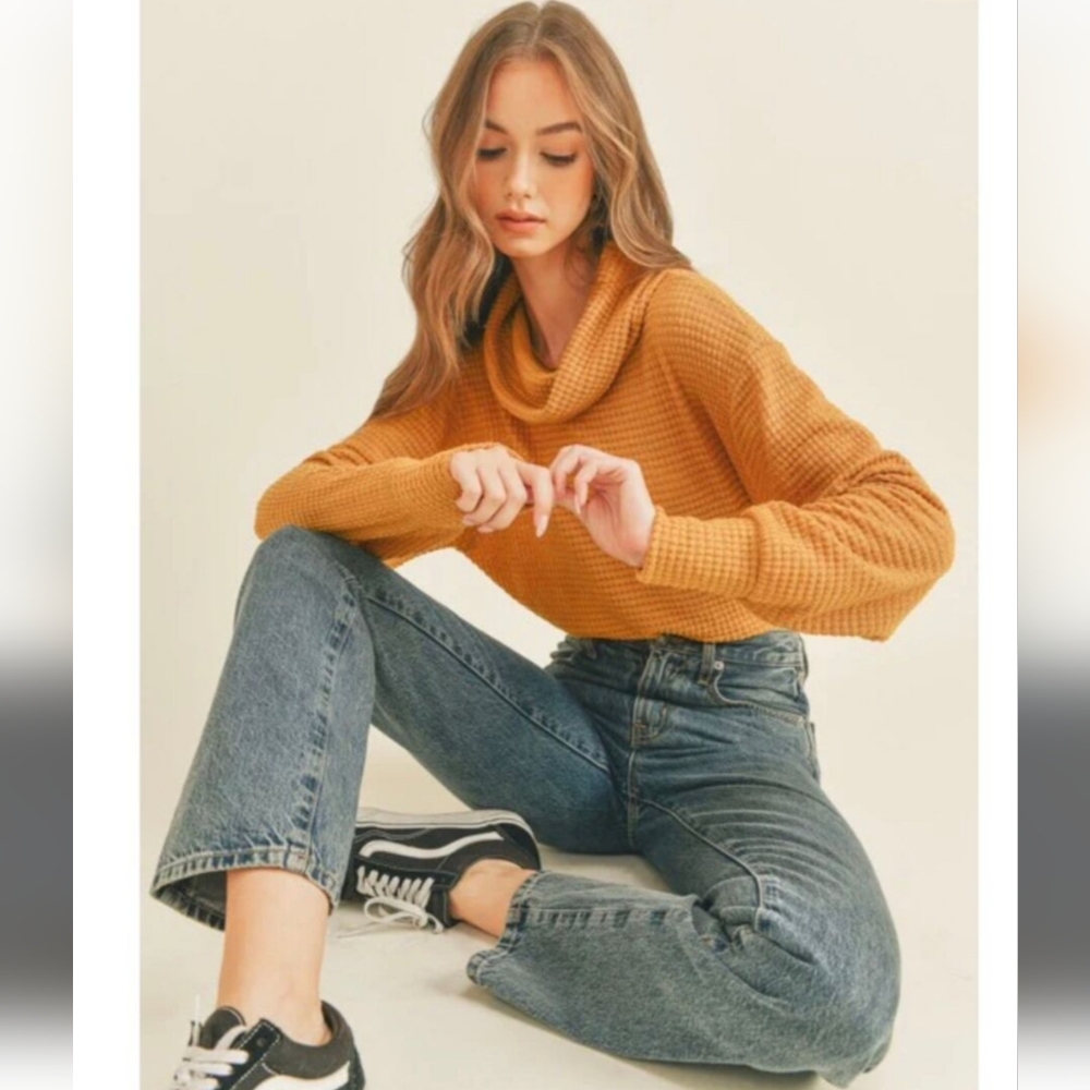 Free People Juicy Long Sleeve Oversized Top in Canyon Moon NWT Sz. S